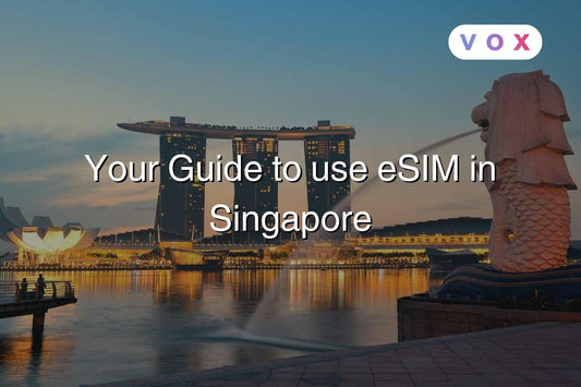 Your Guide to use eSIM in Singapore
